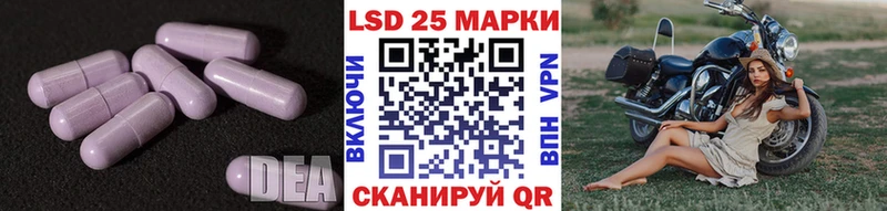 Купить  Медынь  Лсд 25 экстази кислота 